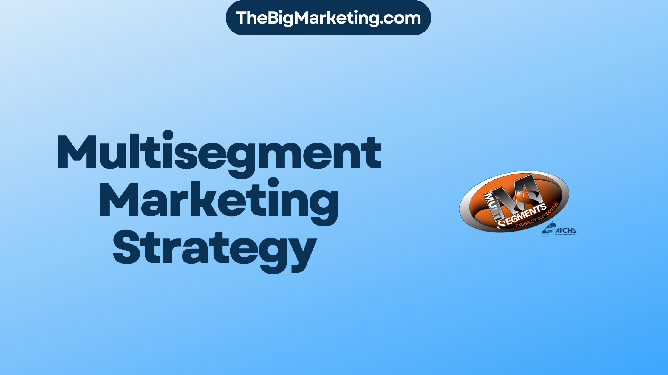 Multisegment Marketing Strategy