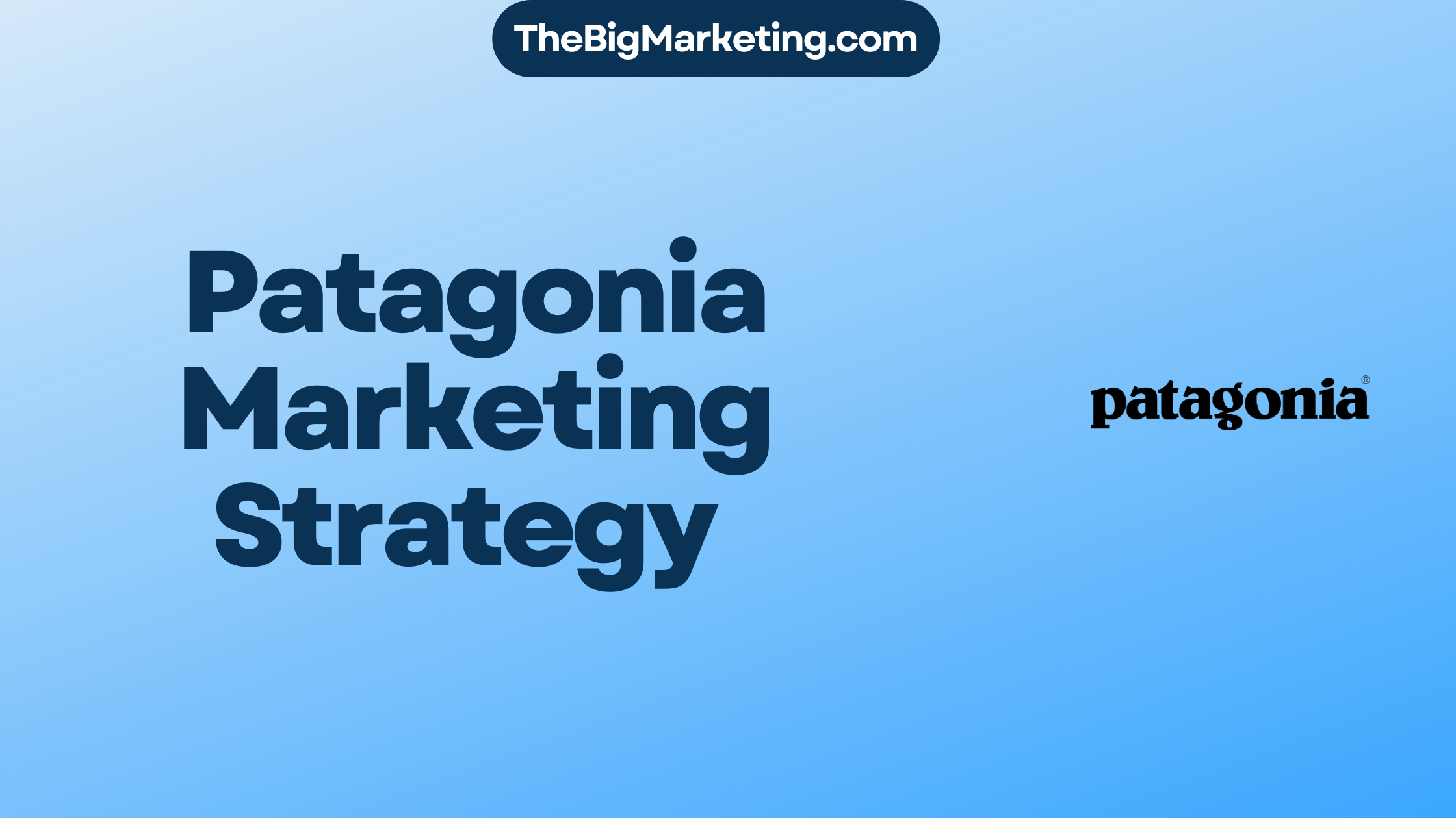 Patagonia Marketing Strategy