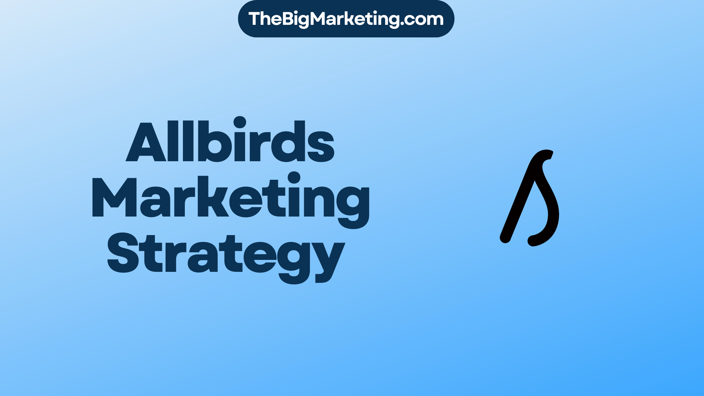 Allbirds Marketing Strategy