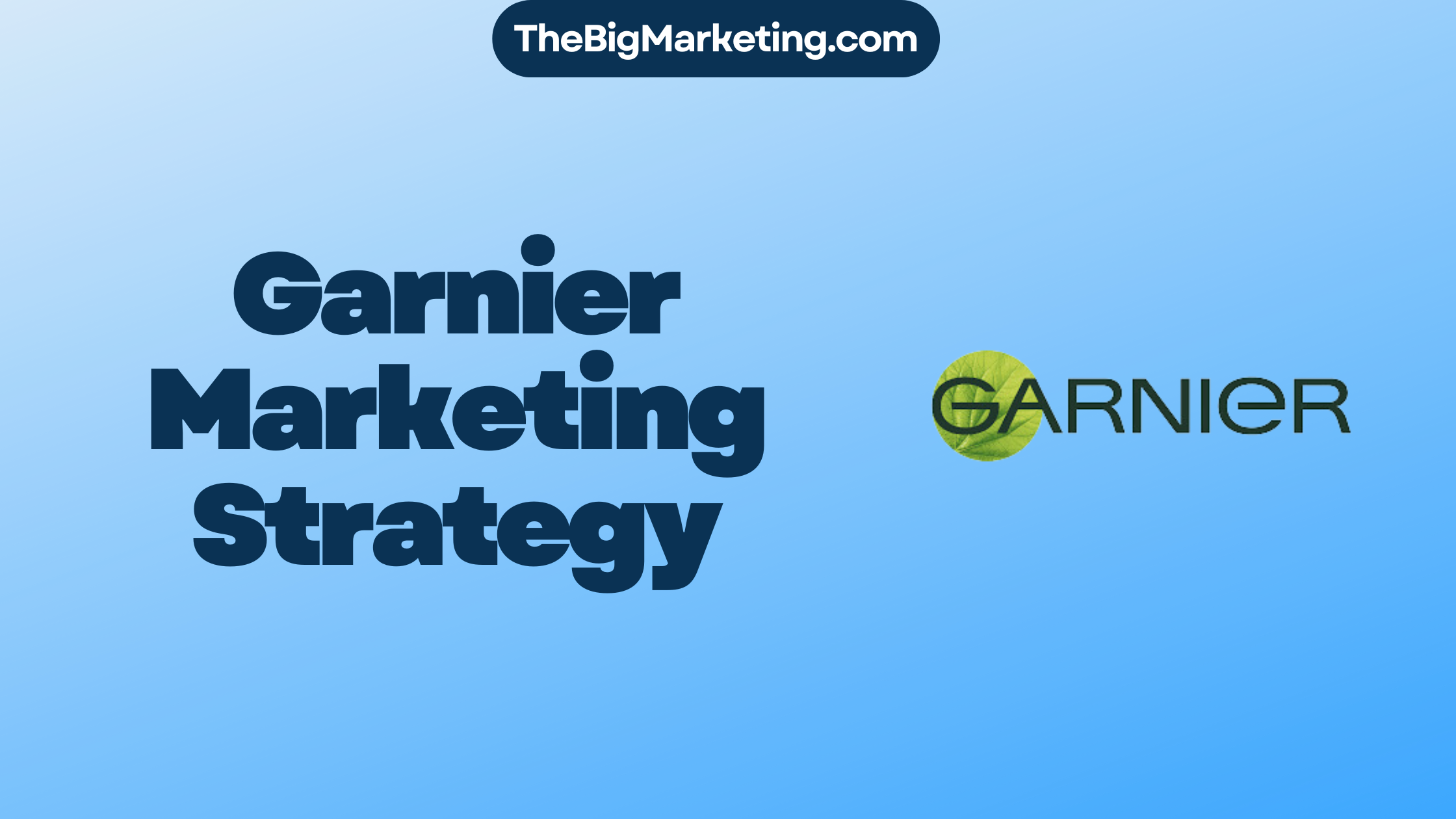 Garnier Marketing Strategy