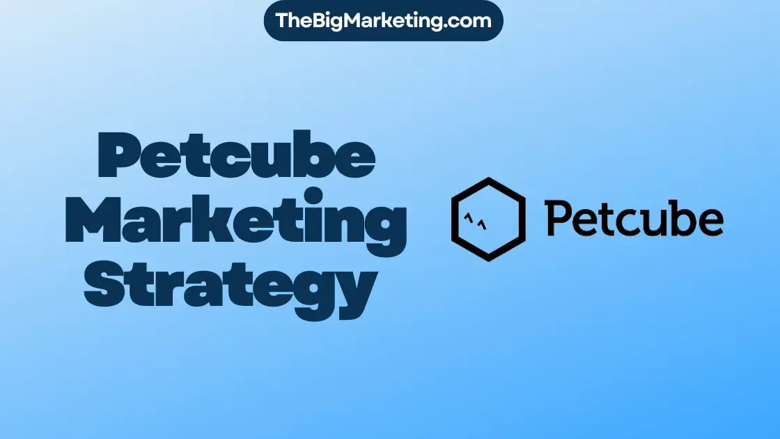 Petcube Marketing Strategy