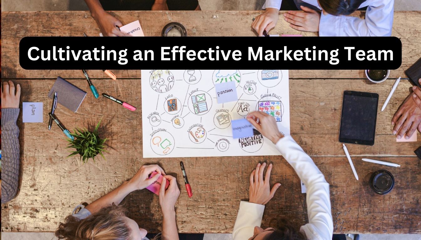 Cultivating an Effective Marketing Team