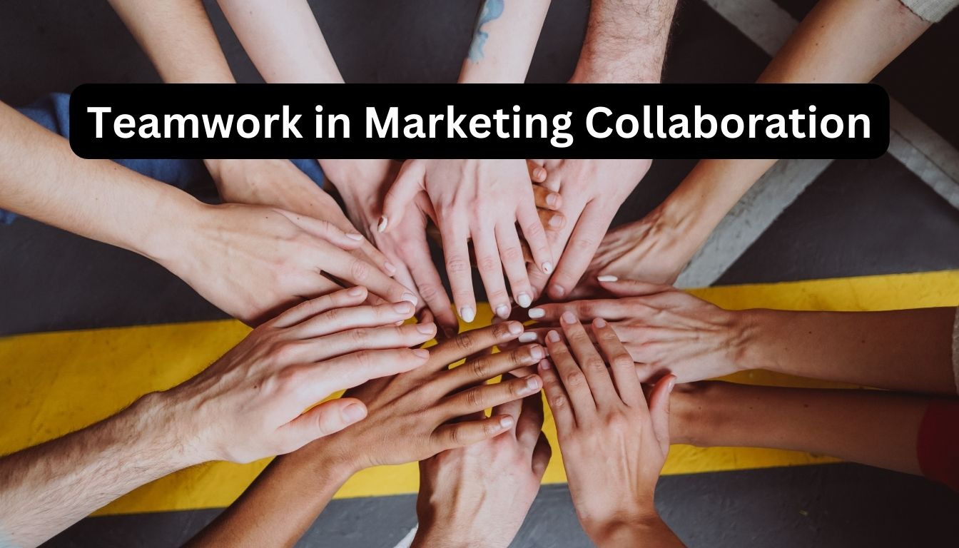 Teamwork in Marketing Collaboration