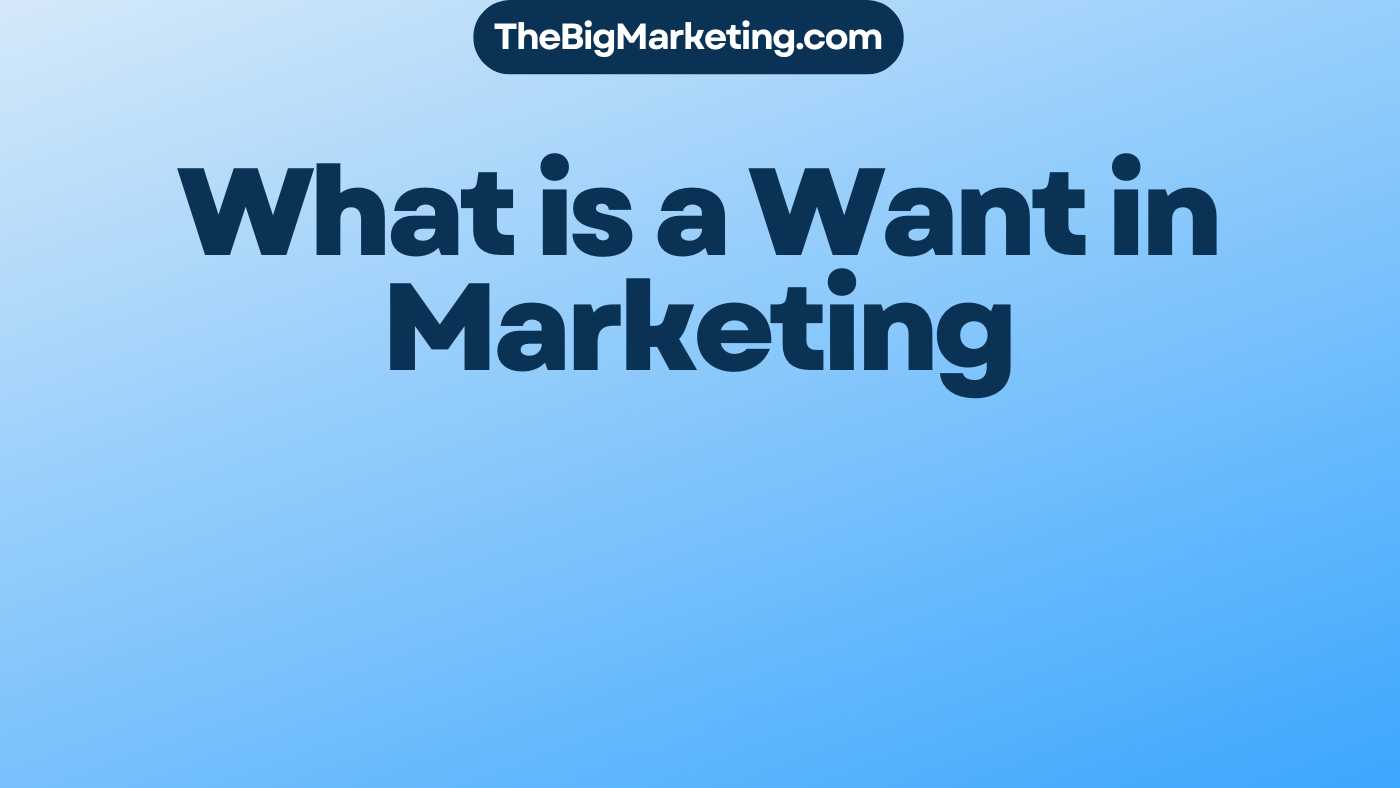 What is a Want in Marketing