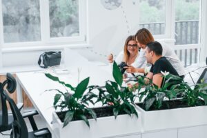 Boosting the Productivity of Your Workspaces with Office Plants